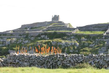 Inisheer, Aran Islands, County Galway, Ireland. O'Flaherty medieval castle ruin on top of the hill.