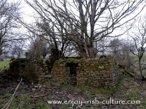 Abandoned Cottage, County Roscommon, Ireland.