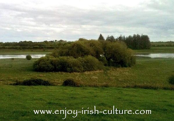 This is a real life unexcavated formmer island left from the times of ancient Ireland, located in Lough Gara, County Sligo, Ireland.