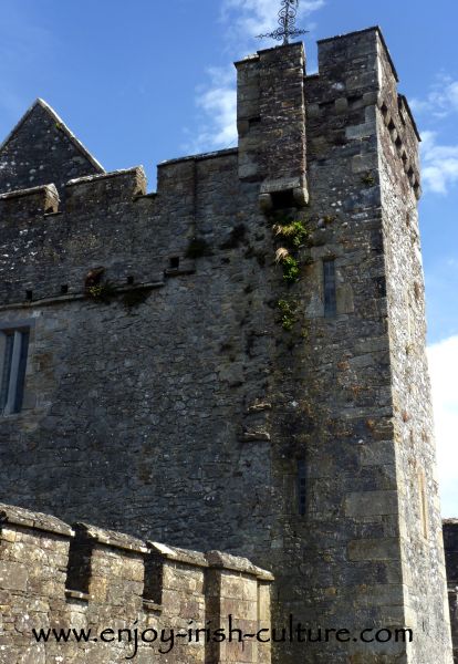 Inside the castle walls of Cahir Castle, County Tipperary.