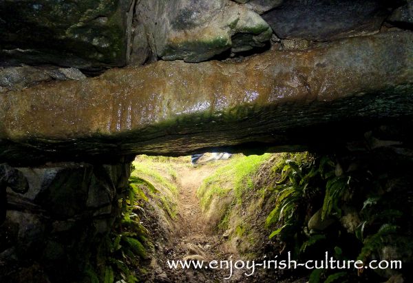Owennagat cave with visible lintel with Ogham writing at ancient Ireland's Rathcroghan Royal Site at Tulsk, County Roscommon., Ireland.