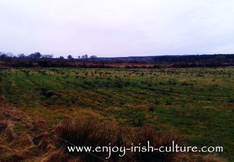 Potato ridges dating back to the days of the Great Famine, in County Roscommon, Ireland.