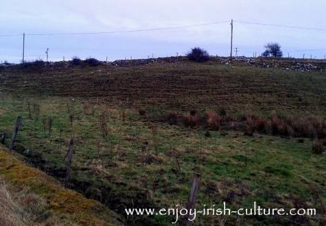 Traces in the landscape of old potato ridges dating back to the Irish Famine, County Roscommon, Ireland.