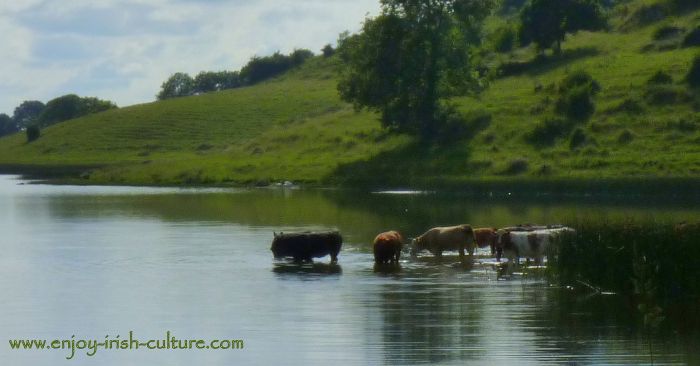 Ancient Ireland