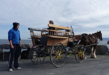 Inisheer, County Galway, Ireland- pony and trap is a great way to get around on the smallest of the Aran Islands.