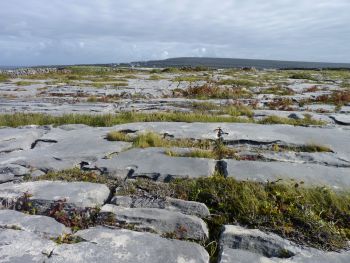 Stoney Inishmore landscape, County Galway, Ireland.