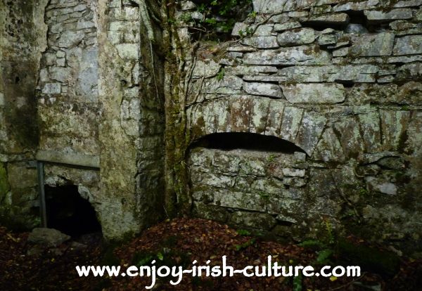 Inside the ruin of Moore Hall, County Mayo, Ireland,