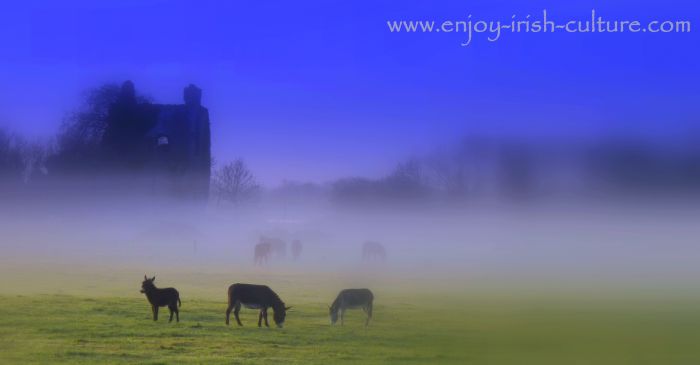 Ballinduff Castle, a medieval Irish castle in County Galway, Ireland.