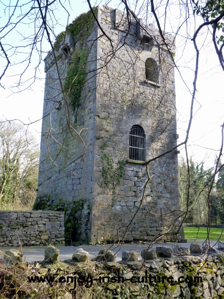 Renville Castle, County Galway, Ireland.