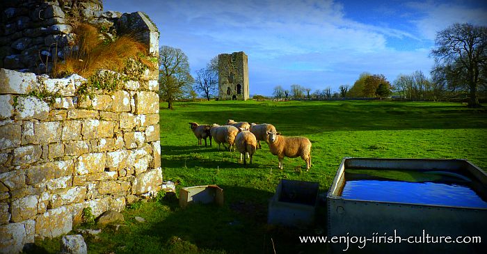 Moynard Castle, a medieval Irish castle in County Galway, Ireland.