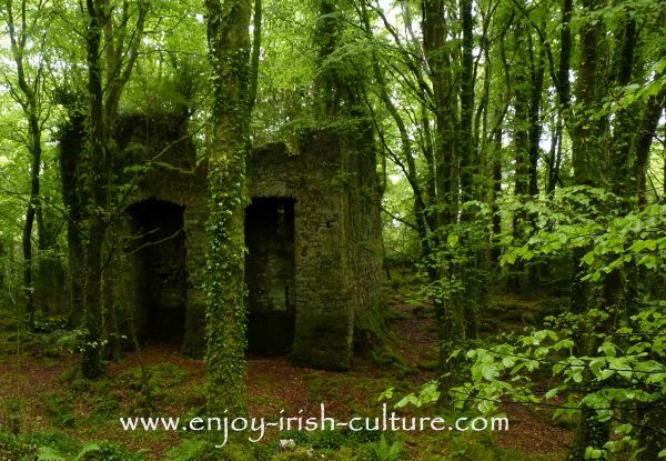 The ruin of Ballykine Castle near Clonbur, County Mayo, Ireland.