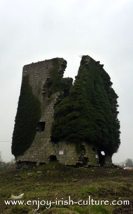 Clonboo Castle, County Galway, Ireland.