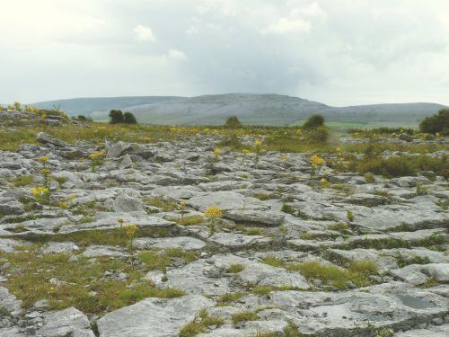 Cromwell in Ireland