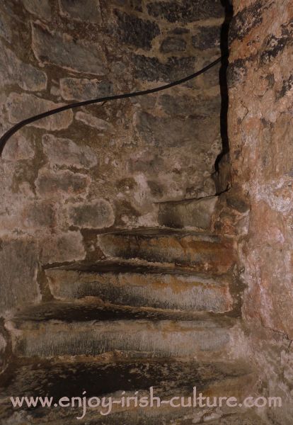 The medieval stairway at the castle.