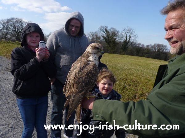 Lothar presents a falcon to the audience which is about to land on someone's arm.