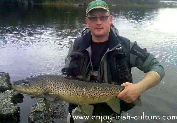 Trout taken from Lough Corrib, County Galway, Ireland.