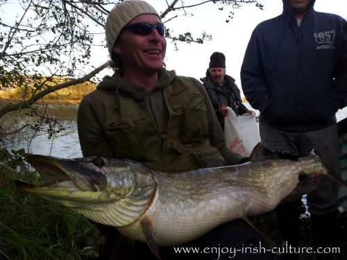 A pike caught near Castlebar, County Mayo, a real monster!