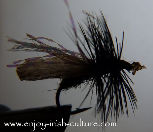 Try fly fishing Irish Lake Lough Corrib with a buzzer dry fly!