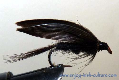 Irish fishing fly- a wet duckfly.