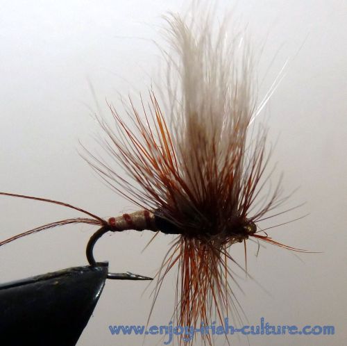 Irish fishing flies- a dry mayfly.