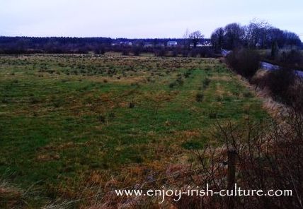 Traces left in the landscape of potato ridges dating back to the Irish Famine.