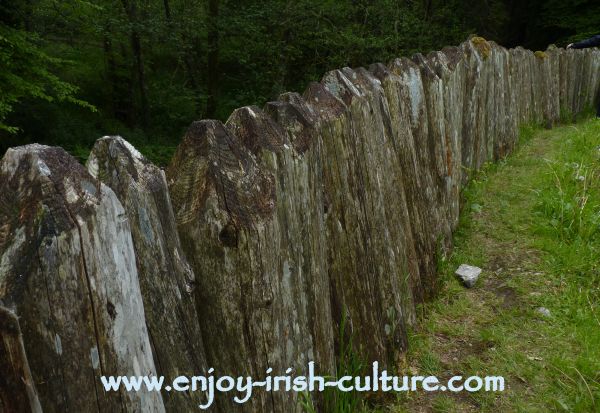 Heritage Museum at Craggaunowen, Quin, County Clare, Ireland- the wooden palisade around the defended ring fort.