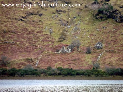 The ruins of an Irish famine cottage in County Mayo, Ireland.