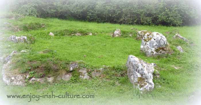 The Spectacles are archaeological remains of an early medieval settlement including a medieval field system.