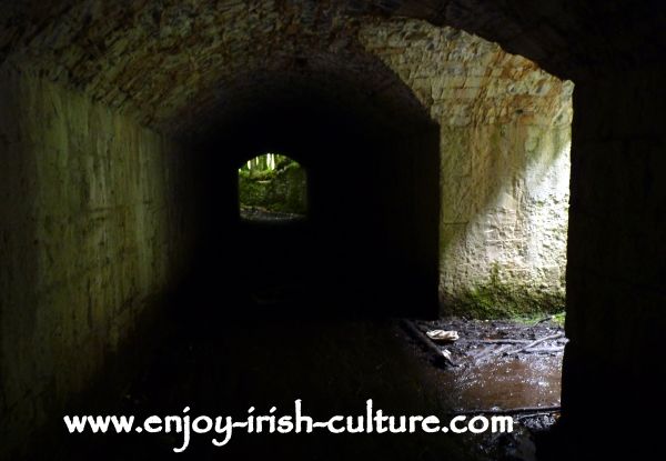The ruin of Moore Hall, County Mayo, the servant's tunnel of the big house.
