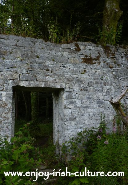 The walled garden of Moore Hall, County Mayo, Ireland which is the ruin of an Irish big house closely tied up with Irish history.
