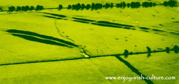 The Mucklaghs, ancient procession routes at Rathcroghan seen from the air.