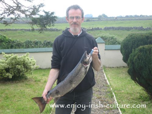 Salmon caught in County Mayo, Ireland off the river bank.