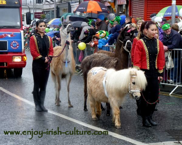 Paddy's Day in Galway, Ireland-circus animals