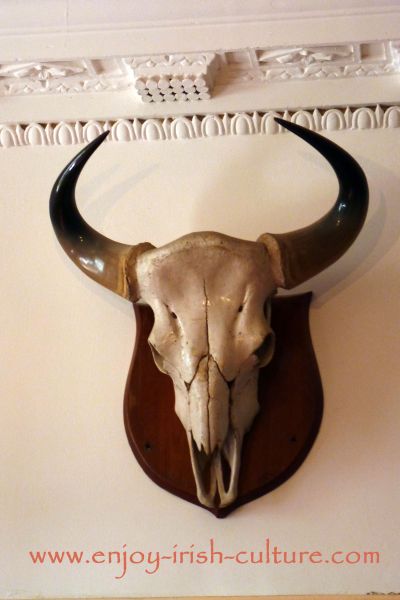 Ancient antlers displayed in the entrance hall.